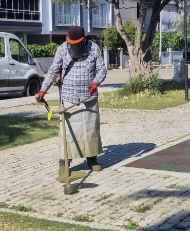 efelerde-yesil-alanlarda-yaz-temizligi-NzjfmHKW.jpg