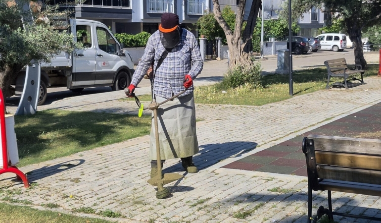 efelerde-yesil-alanlarda-yaz-temizligi-NzjfmHKW.jpg