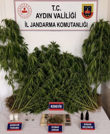 ev-ve-bahcesinde-kenevir-yetistiren-supheli-yakalandi-bOvX2PKR.jpg