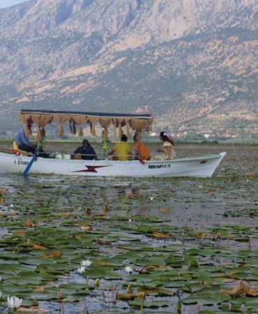 gecen-yil-kuraklik-bu-yil-ise-asiri-yagislar-niluferlerin-gorsel-solenini-geciktirdi-FAOgSCOc.jpg