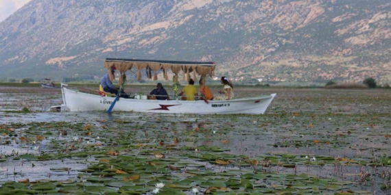 gecen-yil-kuraklik-bu-yil-ise-asiri-yagislar-niluferlerin-gorsel-solenini-geciktirdi-FAOgSCOc.jpg