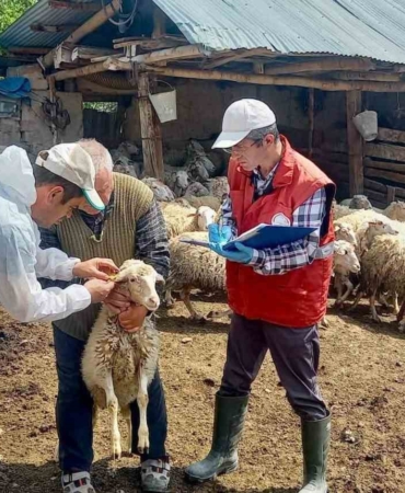 halk-elinde-kucukbas-hayvan-islahi-projesinde-dogan-kuzular-tespit-edildi-TNSHfX7K.jpg
