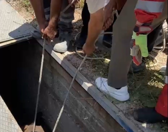 havalandirma-bosluguna-dusen-esek-kurtarildi-YsbVMVVq.jpg