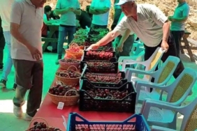 hisarcik-kutlubeyler-koyunde-kiraz-festivali-coskusu-MWWmqZve.jpg