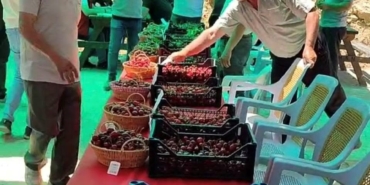 hisarcik-kutlubeyler-koyunde-kiraz-festivali-coskusu-MWWmqZve.jpg