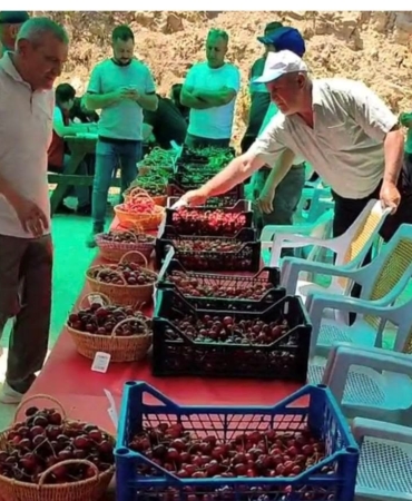 hisarcik-kutlubeyler-koyunde-kiraz-festivali-coskusu-MWWmqZve.jpg