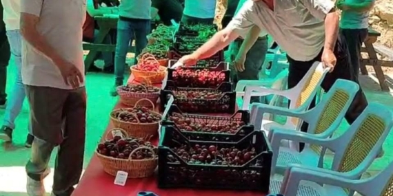 hisarcik-kutlubeyler-koyunde-kiraz-festivali-coskusu-MWWmqZve.jpg