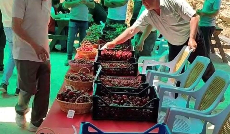 hisarcik-kutlubeyler-koyunde-kiraz-festivali-coskusu-MWWmqZve.jpg