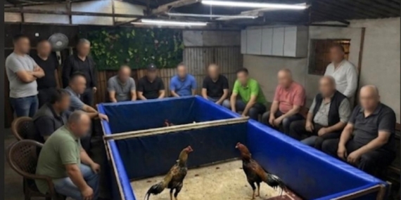 izmirde-horoz-dovusu-operasyonu-ciftlik-muhurlendi-130-bin-lira-ceza-kesildi-18gdLkPX.jpg