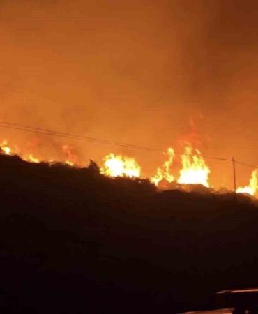 izmirde-makilik-alanda-yangin-QLlKMuDh.jpg