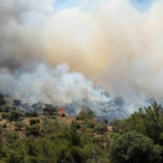 izmirde-makilik-alandaki-yangina-mudahale-suruyor-KK6A1Jz1.jpg