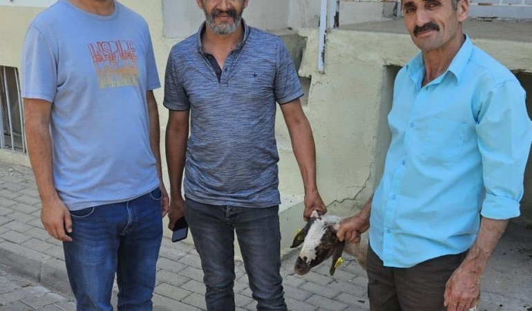 kapilara-toslayan-kuzunun-sahibi-kupesinden-bulundu-XTPi6xKN.jpg