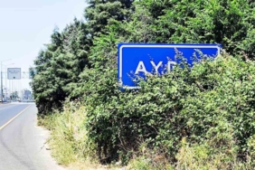 karayolu-uzerindeki-aydin-tabelasi-calilar-arasinda-kaldi-gW1ctdNV.jpg