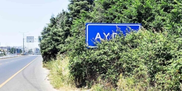 karayolu-uzerindeki-aydin-tabelasi-calilar-arasinda-kaldi-gW1ctdNV.jpg