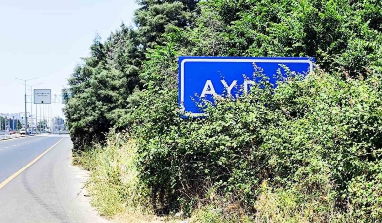karayolu-uzerindeki-aydin-tabelasi-calilar-arasinda-kaldi-gW1ctdNV.jpg