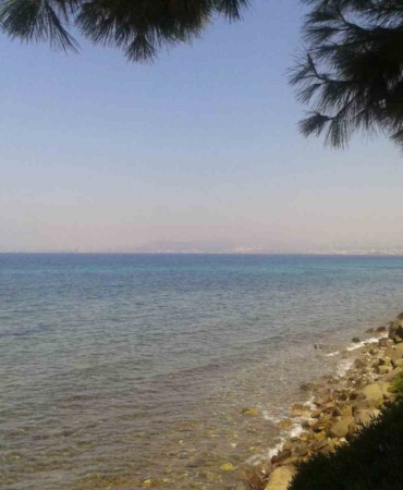 kusadasinda-deniz-suyu-kalitesi-yuz-guldurdu-q8nbbyhX.jpg