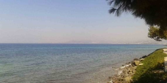 kusadasinda-deniz-suyu-kalitesi-yuz-guldurdu-q8nbbyhX.jpg