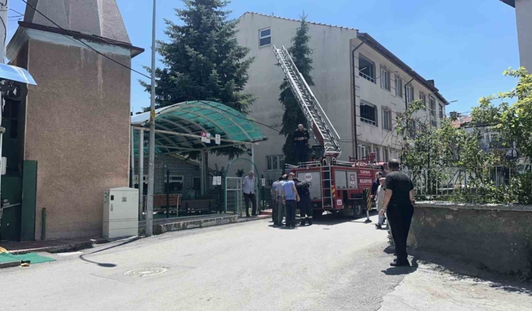 kutahyada-agaca-takilan-serce-itfaiye-ekiplerince-kurtarildi-GOjNTPuT.jpg