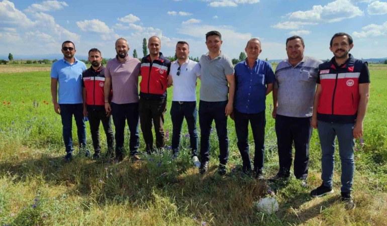 kutahyada-corek-otu-uretimi-yakindan-takip-ediliyor-IVxHZeNN.jpg