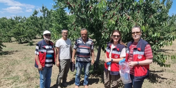 kutahyada-kirazda-hasat-oncesi-pestisit-denetimleri-basladi-V6gAh1s5.jpg