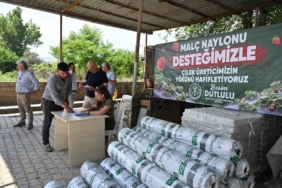 manisa-buyuksehirden-cilek-ureticilerine-malc-naylonu-destegi-VeyUZDgF.jpg