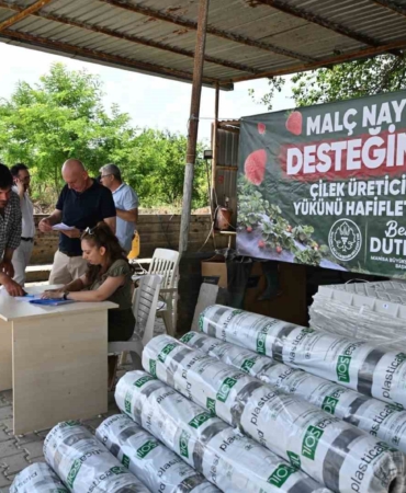 manisa-buyuksehirden-cilek-ureticilerine-malc-naylonu-destegi-VeyUZDgF.jpg