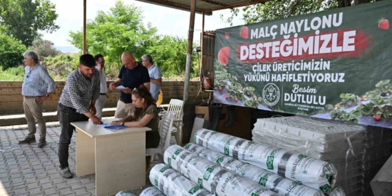 manisa-buyuksehirden-cilek-ureticilerine-malc-naylonu-destegi-VeyUZDgF.jpg