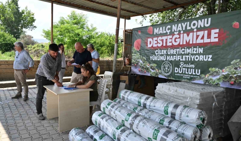 manisa-buyuksehirden-cilek-ureticilerine-malc-naylonu-destegi-VeyUZDgF.jpg