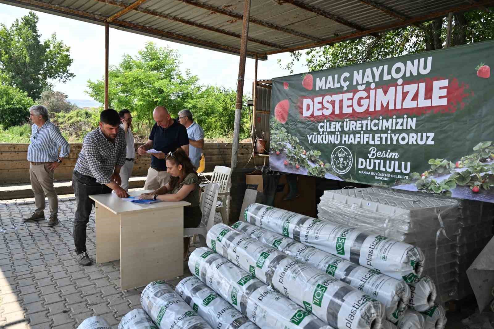 manisa-buyuksehirden-cilek-ureticilerine-malc-naylonu-destegi-VeyUZDgF.jpg