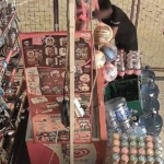 marketin-kapisini-kirip-iceri-giren-cocuklar-marketi-talan-etti-952xnIeC.jpg