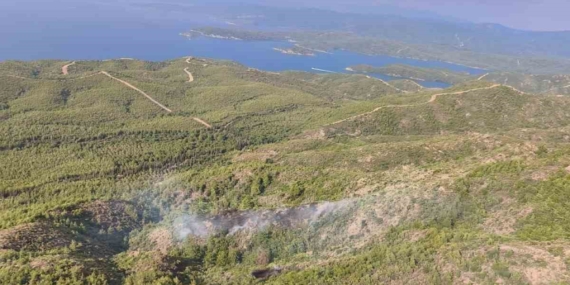 marmaristeki-yildirim-kaynakli-orman-yangini-sonduruldu-tOmCDCAS.jpg