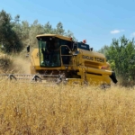 mentesede-bicerdoverlere-siki-denetim-cj7A3PSY.jpg