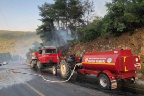 mentesede-orman-yangini-buyumeden-sonduruldu-afMKNy8f.jpg
