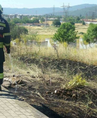 mentesede-yol-kenarina-atilan-sigara-izmariti-yangin-cikardi-d2xhtw4D.jpg