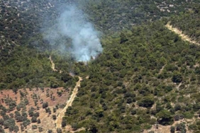 milas-kazikli-koyunda-makilik-alanda-yangin-cikti-VJwAfmKv.jpg