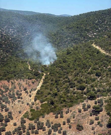 milas-kazikli-koyunda-makilik-alanda-yangin-cikti-VJwAfmKv.jpg