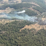 milasta-cikan-zirai-yangin-kisa-surede-kontrol-altina-alindi-rhSUTYC7.jpg