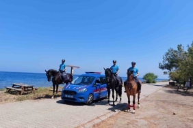 milli-parkta-atli-jandarma-timi-goreve-basladi-VFK4KzTS.jpg