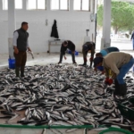 mugla-mayis-ayinda-71-milyon-870-bin-tl-dis-ticaret-fazlasi-verdi-wVX4eN2M.jpg