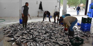 mugla-mayis-ayinda-71-milyon-870-bin-tl-dis-ticaret-fazlasi-verdi-wVX4eN2M.jpg