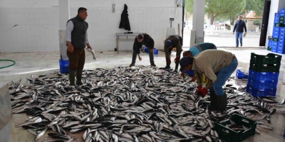 mugla-mayis-ayinda-71-milyon-870-bin-tl-dis-ticaret-fazlasi-verdi-wVX4eN2M.jpg