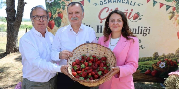 osmancali-cileginin-ilk-hasadi-senlikle-yapildi-ip1qHznC.jpg