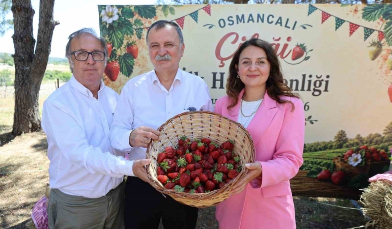 osmancali-cileginin-ilk-hasadi-senlikle-yapildi-ip1qHznC.jpg