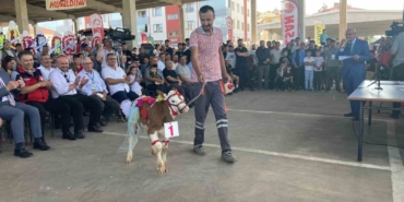 otuz-buzagi-arasindan-en-guzeli-secildi-hUMYtdTK.jpg