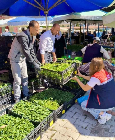 pazarlarda-satilan-tohum-ve-fideler-kontrol-edildi-eJieWZLm.jpg