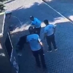 salihlide-kopege-ve-guvenlik-personeline-saldiran-supheli-tutuklandi-1Cv5kmvt.jpg