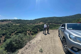sarigolde-orman-yanginlarina-karsi-alarm-seviyesi-yukseldi-lHEL7pKx.jpg