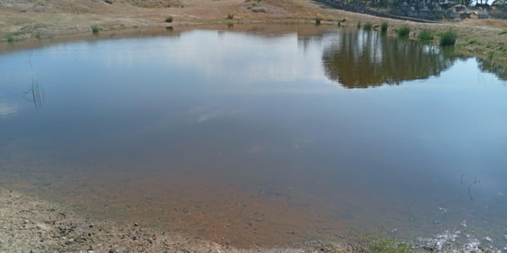 serinlemek-icin-golete-giren-cocuk-hayatini-kaybetti-zSThH9bG.jpg