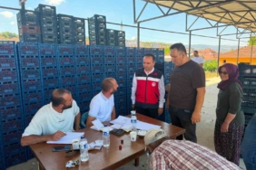 simav-ilce-tarim-ve-orman-mudurlugunden-kiraz-alim-merkezlerine-ziyaret-cRMPcnFy.jpg