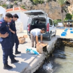 sokede-kacak-su-urunleri-nakline-gecit-verilmedi-eYkLFaCl.jpg